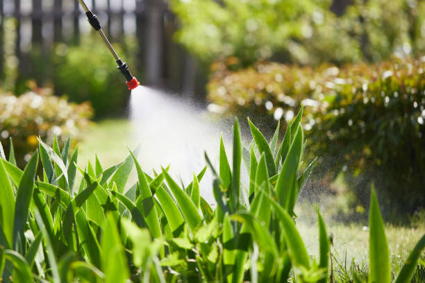 24/7 Emergency Cockroach Control experts in Lake Helen, FL