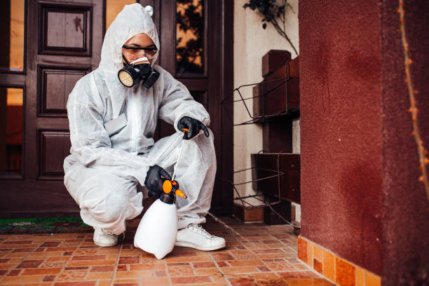 Reliable Cockroach Control contractor in Lake Helen, FL by Nex Pest Control